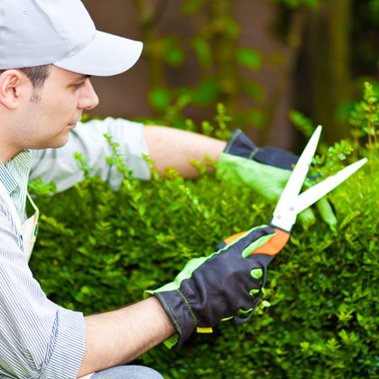 Manutenzione del verde: scopri i servizi MASTRO J