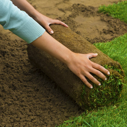 Progettazione e realizzazione di giardini: scopri i servizi MASTRO J